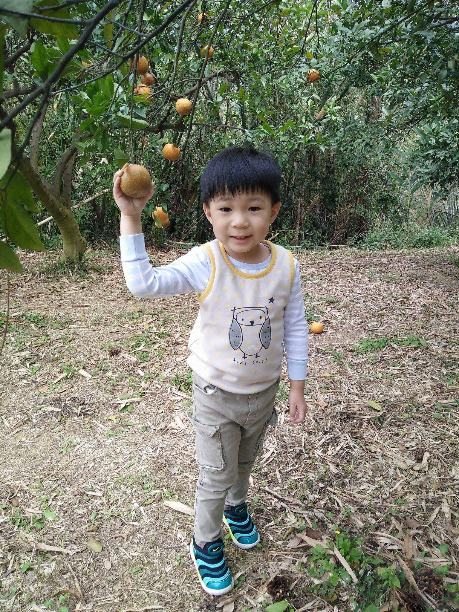 We're talking about Tangerines today! (Author's son)