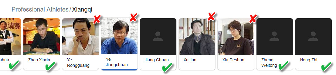 Google Search Mistake for Professional Xiangqi Athletes