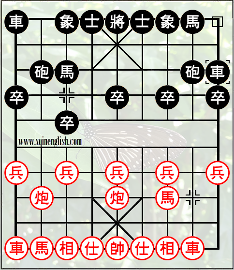 mandarin duck cannons with 3rd pawn advancement variation