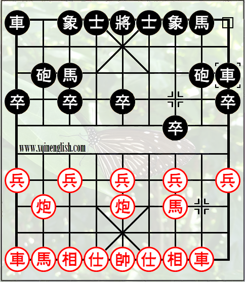 mandarin duck cannons with 7th pawn advancement variation